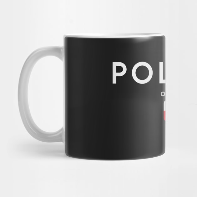 Poland flag, polish flag by eka123